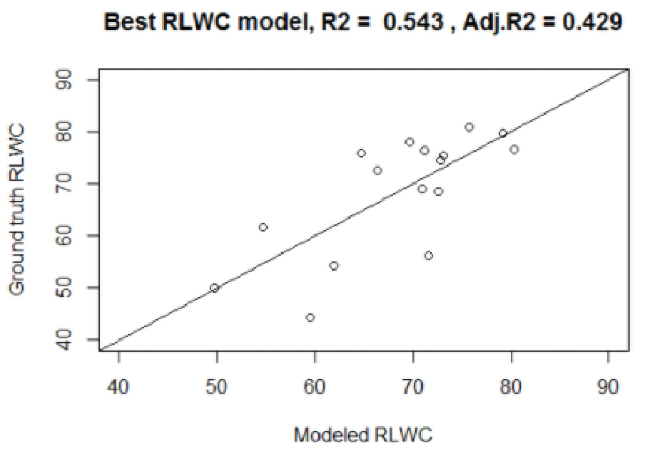 Relative leaf water content (RLWC) modeling